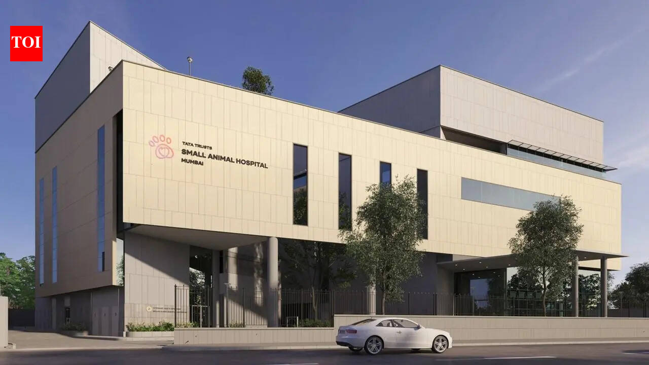 Tata-backed Small Animal Hospital sees board churn