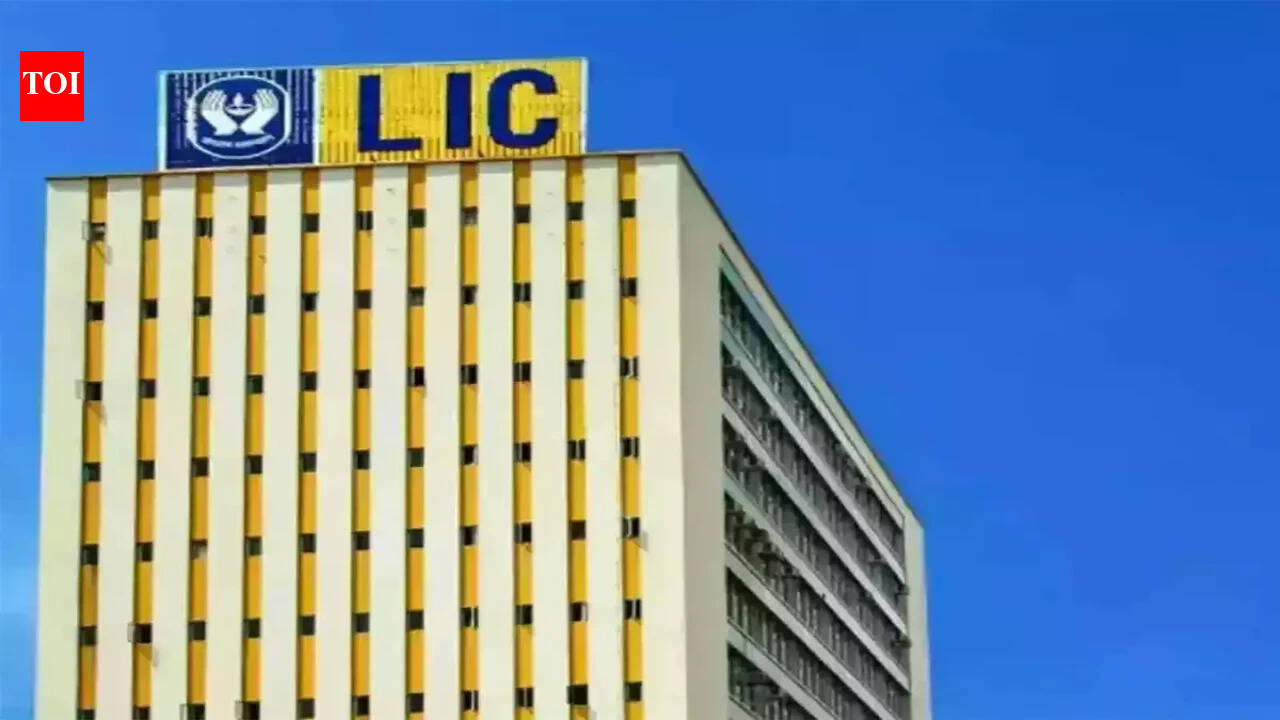 LIC to look at long-term investment instruments