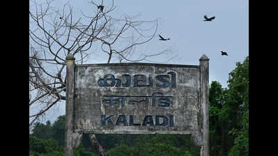 Sabari Rail set to receive green light after a 30-year wait?