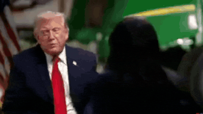   Trump storms out of NBC interview after calling interviewer 'stupid' - video