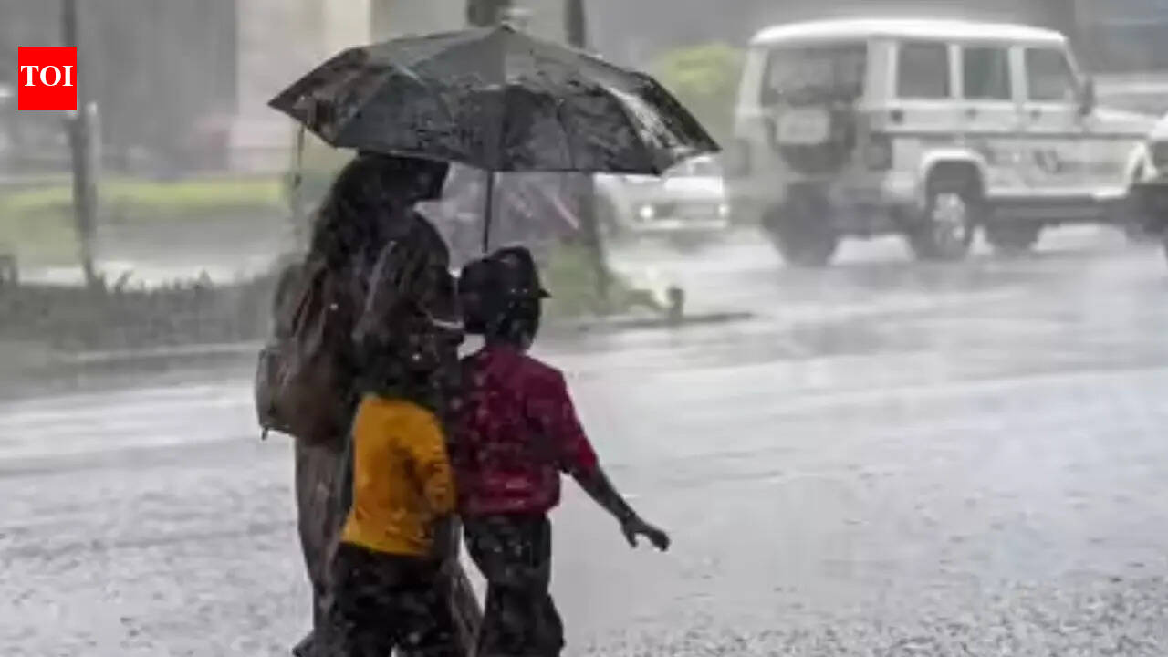 Heavy rain warning for Karnataka; IMD issues red alerts in multiple districts