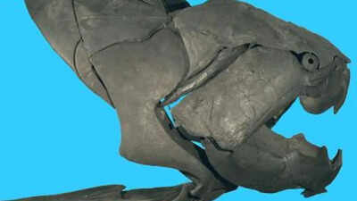 Before sharks ruled the seas, this bone-bladed monster terrorised Cleveland's waters 360 million years ago