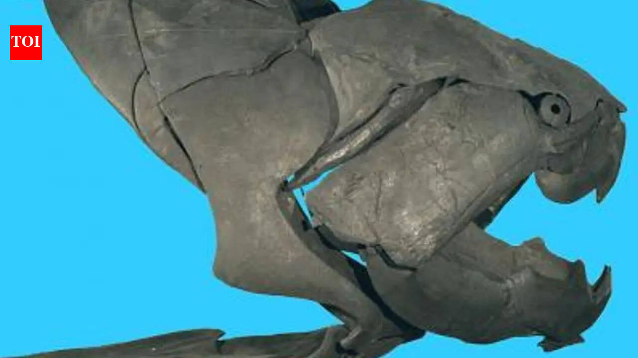 Before sharks ruled the seas, this bone-bladed monster terrorised Cleveland's waters 360 million years ago