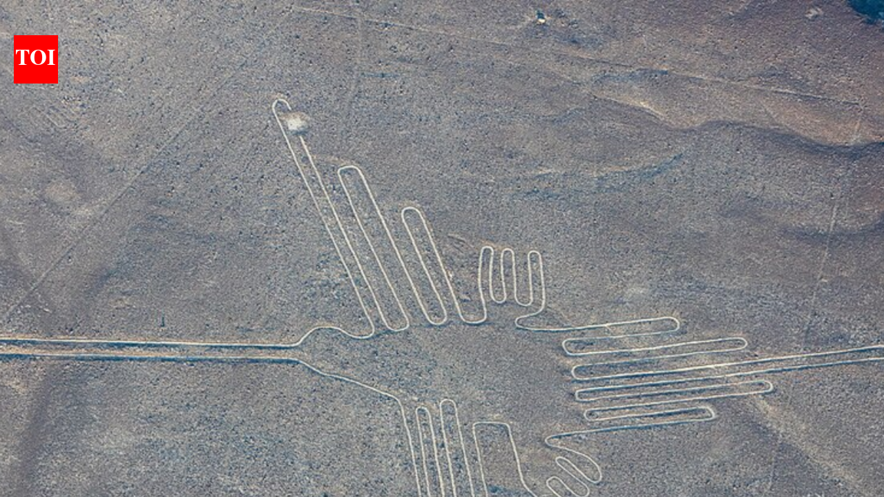 In 1927, a Peruvian archaeologist hiking desert hills spotted giant lines across the Nazca plain