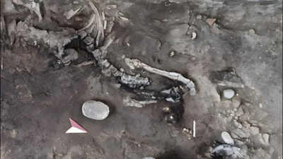 Two skeletons found inside a Pompeii bakery may be the key to an unsolved eruption mystery hidden beneath for nearly 2,000 years