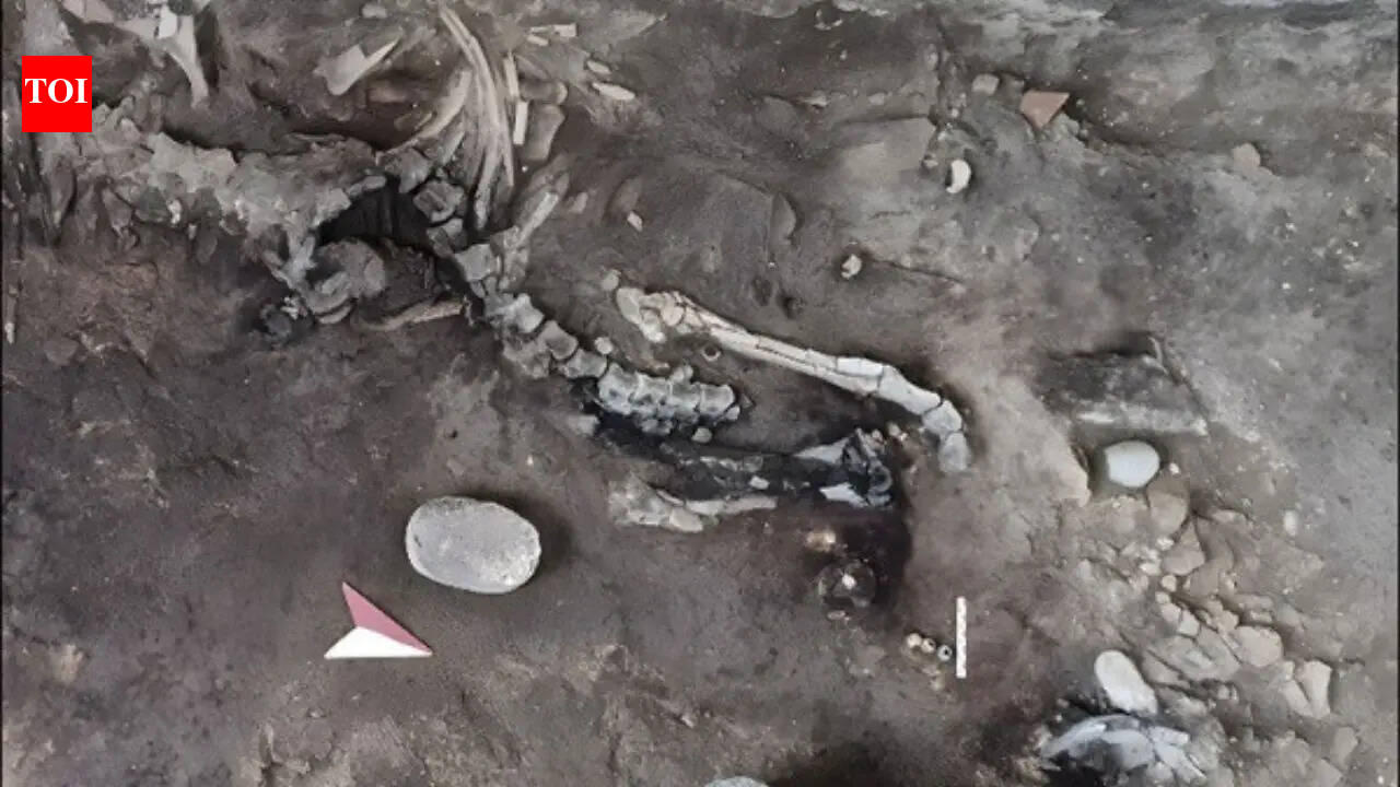 Two skeletons found inside a Pompeii bakery may be the key to an unsolved eruption mystery hidden beneath for nearly 2,000 years