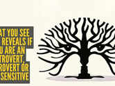 Optical illusion personality test: Eyes, trees, two faces? What you see first reveals if you are an introvert, extrovert or too sensitive