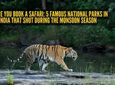 Before you book a safari: 5 famous national parks in India that shut during the monsoon season