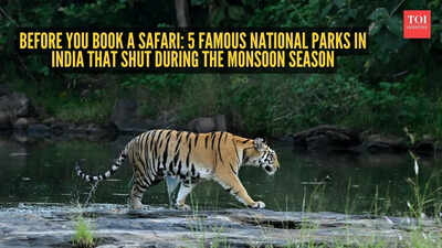 Before you book a safari: 5 famous national parks in India that shut during the monsoon season