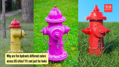 Why are fire hydrants different colors across US cities? It&rsquo;s not just for looks