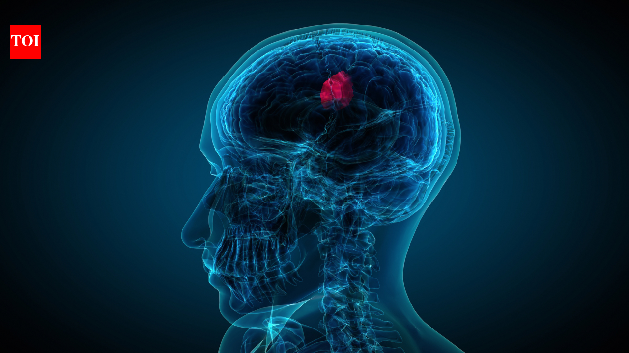 World Brain Tumour Day: Can your lifestyle really influence brain health and tumour risk?