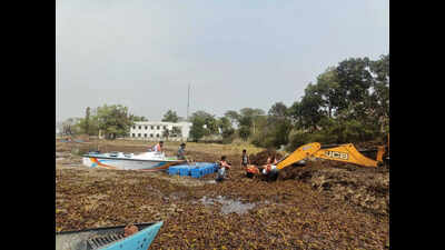 BAU turns invasive pond weed into organic manure, revives campus ponds