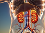 How to protect your Kidneys during Chemotherapy: Expert tips every cancer patient should know