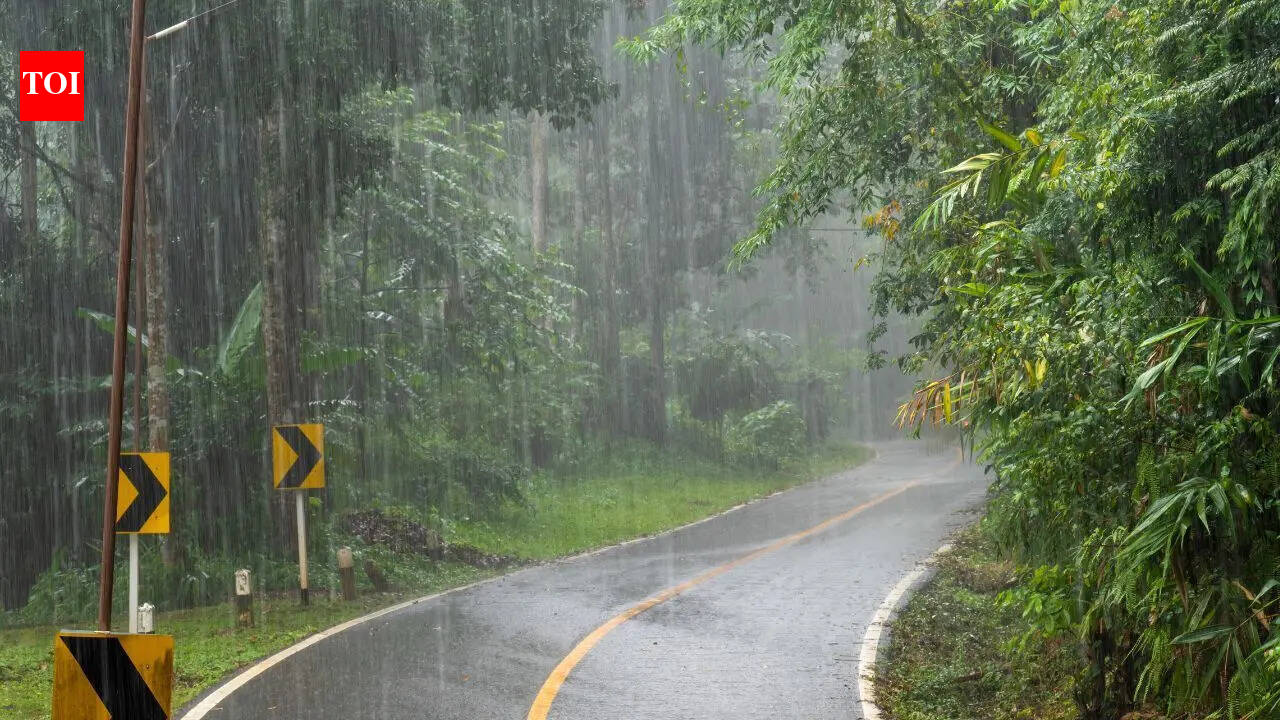 Do trees save rain water? How do they manage to preserve this water?