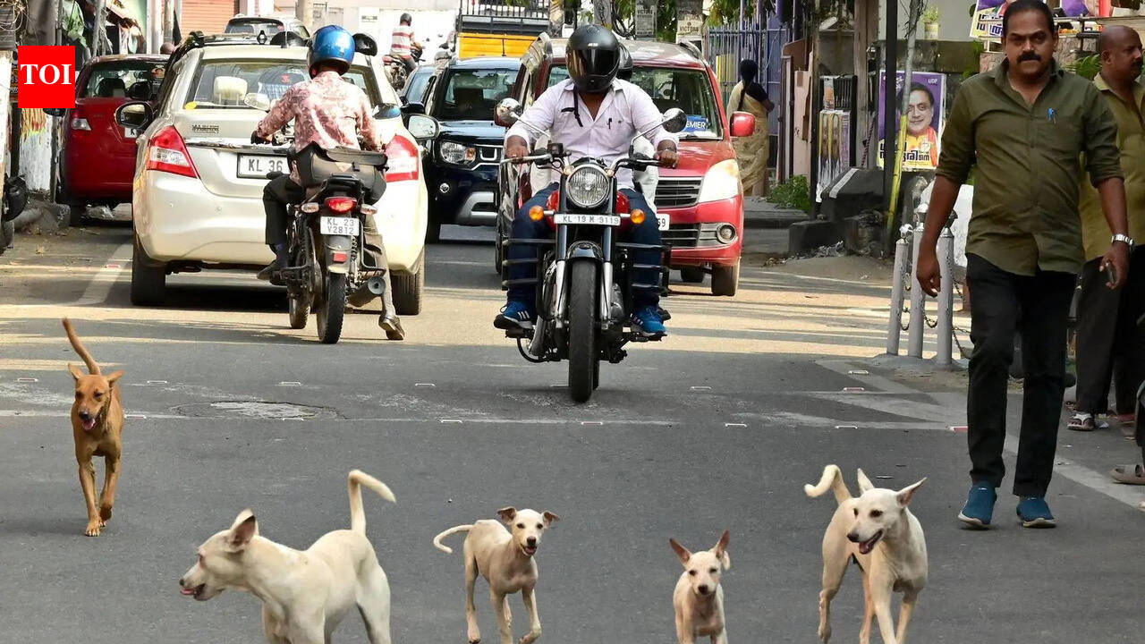 Man suffers severe eye injury in stray dog attack | Thiruvananthapuram ...