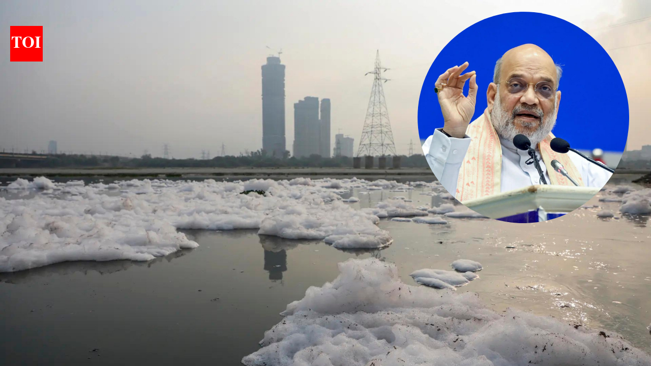 Yamuna clean-up mandate: Amit Shah orders 20-day review cycle, 59 new STPs to be installed