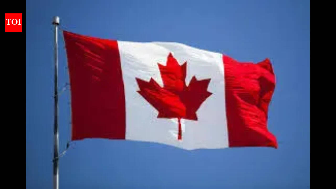 They are not illegal aliens: 12 Indians involved with 'criminal tourism' in Canada, they came to steal