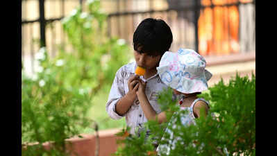 Monsoon likely to enter Rajasthan around June 24