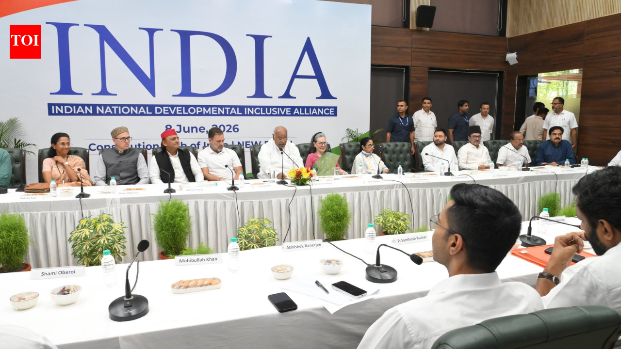 'Be large-hearted': INDIA bloc allies to Congress over Kerala, DMK tensions; Rahul promises 'all the love'
