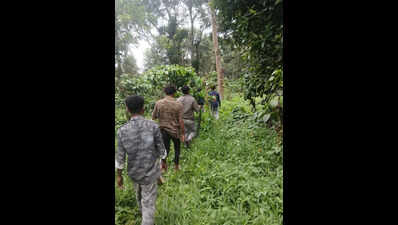Foresters continue to look for killer elephant in Kodagu