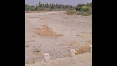 Dry riverbeds in Krishna and Bhima basins become easy targets for sand mafia; night mining keeps  Sangli and Solapur officials on toes