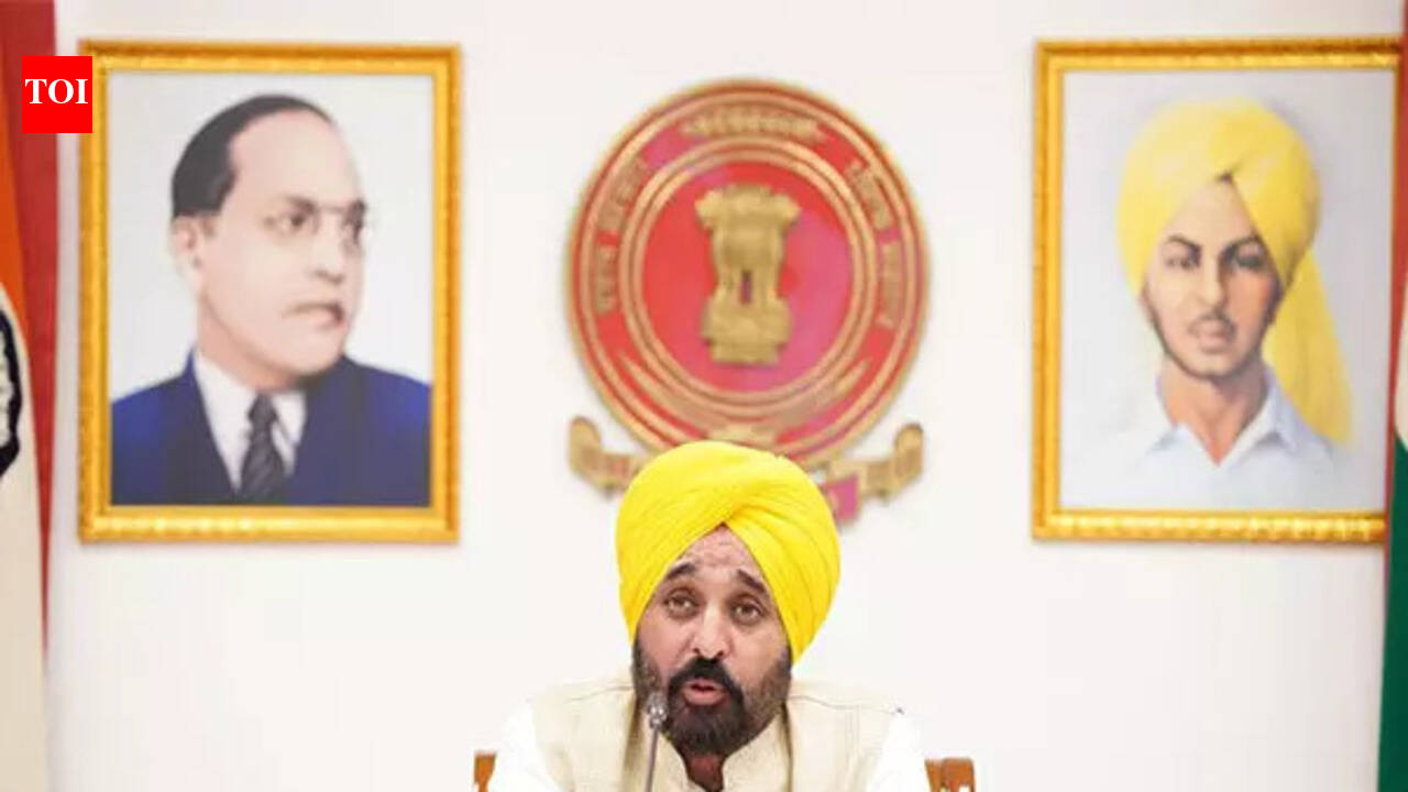 No paper leak in Punjab since 2022, students got opportunities based on merit: Mann