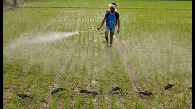 State agri dept report reveals widespread fertilisers black marketing