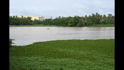 Akkulam, Kovalam revamp projects face uncertain future