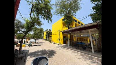 Fresh coat of confusion: Mishmash of school colours in Ludhiana after paint mandate