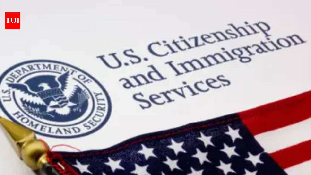 Who is Neeraj Sharma, Indian-American man set to lose his US citizenship for visa fraud? Never had any real job to offer