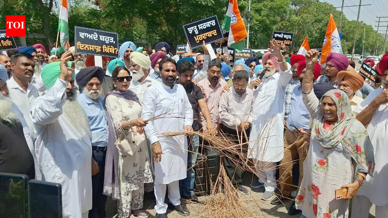 Cong protests in Mohali; alleges vendetta politics