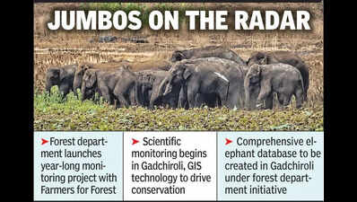 Forest dept plans data-driven elephant tracking to reduce conflict in Vidarbha