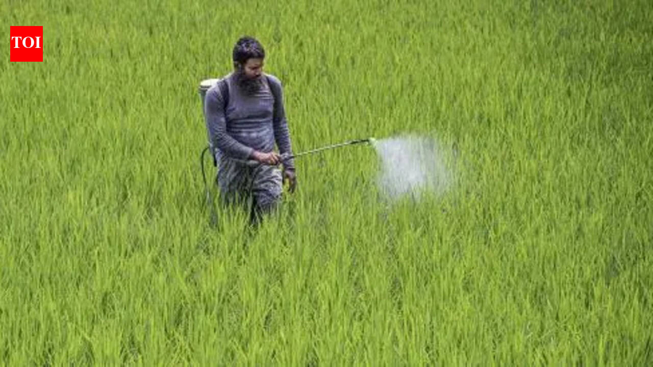 बंगाल कृषि और स्वास्थ्य में उच्च स्थान पर है, पर्यावरण और सार्वजनिक बुनियादी ढांचे में निचले स्थान पर: रिपोर्ट | कोलकाता समाचार