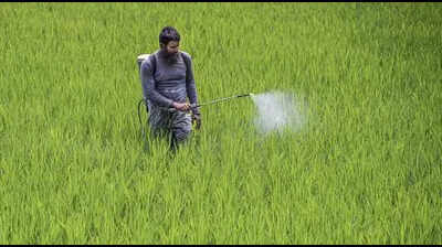 Bengal ranks high in agriculture and health, low in environment and public infra: Report