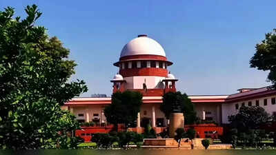 For deserting mom, man gets earful from Supreme Court