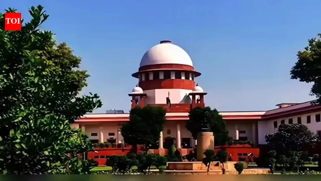 For deserting mom, man gets earful from Supreme Court