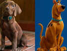 'Scooby-Doo: Origins' first look unveiled; fans react
