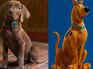 'Scooby-Doo: Origins' first look unveiled; fans react