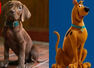 'Scooby-Doo: Origins' first look unveiled; fans react