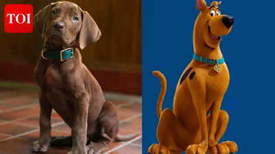 'Scooby-Doo: Origins' live-action series unveils FIRST LOOK; fans of iconic character divided over casting 'real' pup - WATCH