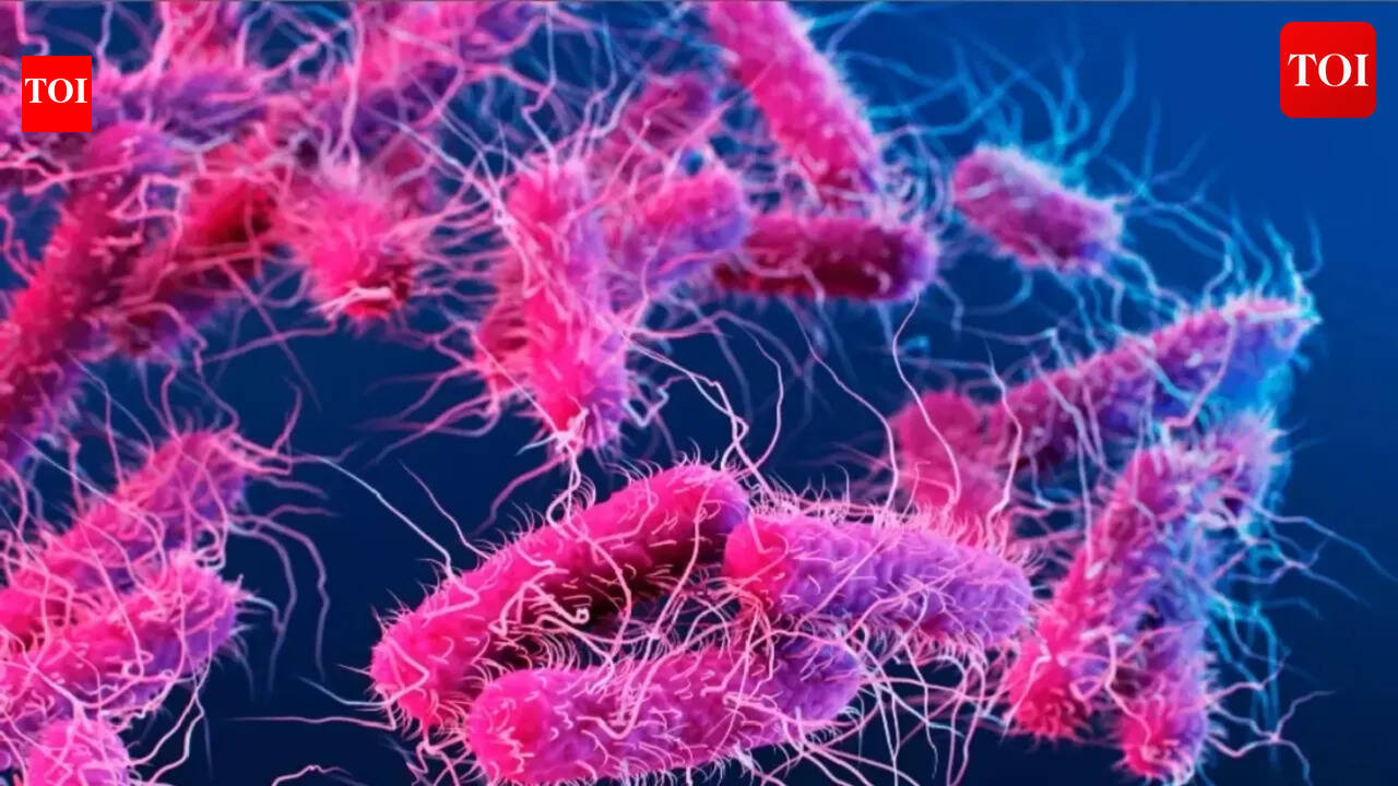Shigella alert in Kerala: Death of 4-YO sparks concern; Early signs, risk factors — everything to know about this contagious disease