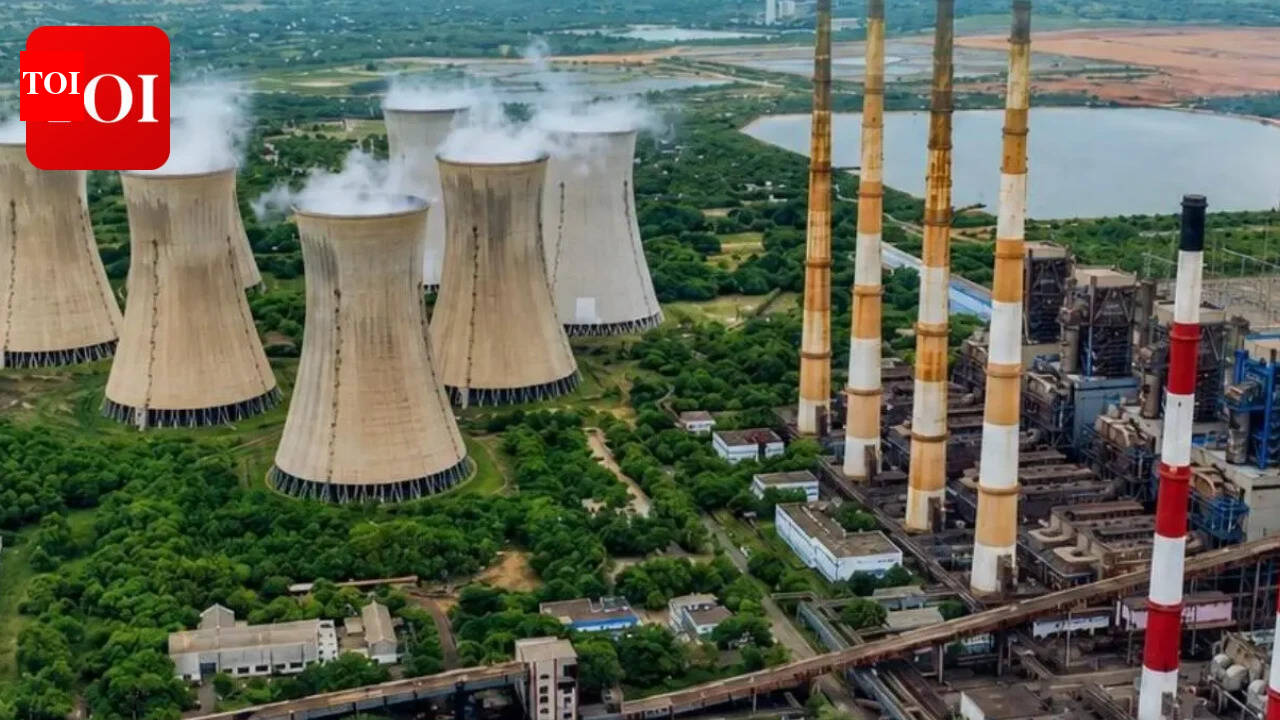 Government eyes Rs 1,260cr from NLC divestment