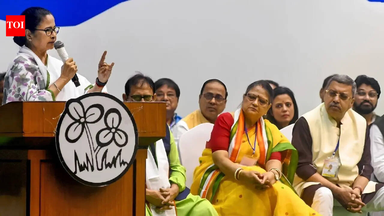 The great TMC split: How a rebellion in Bengal could reshape Parliament's power arithmetic