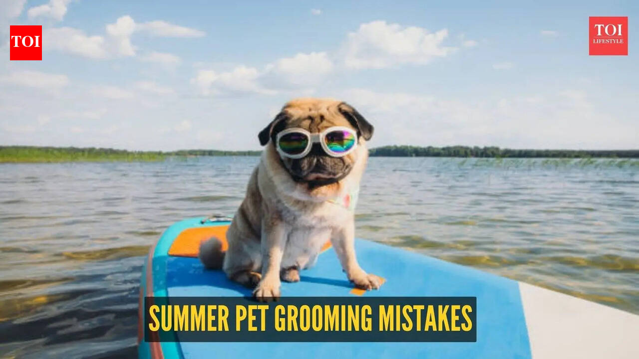 Summer grooming mistakes pet parents make without realizing