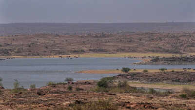 Vice President briefed on water conservation, river inter-linking