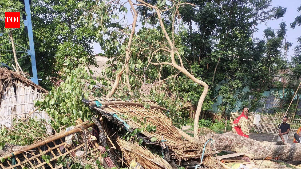 5 of family die as tree falls on house in Sitamarhi