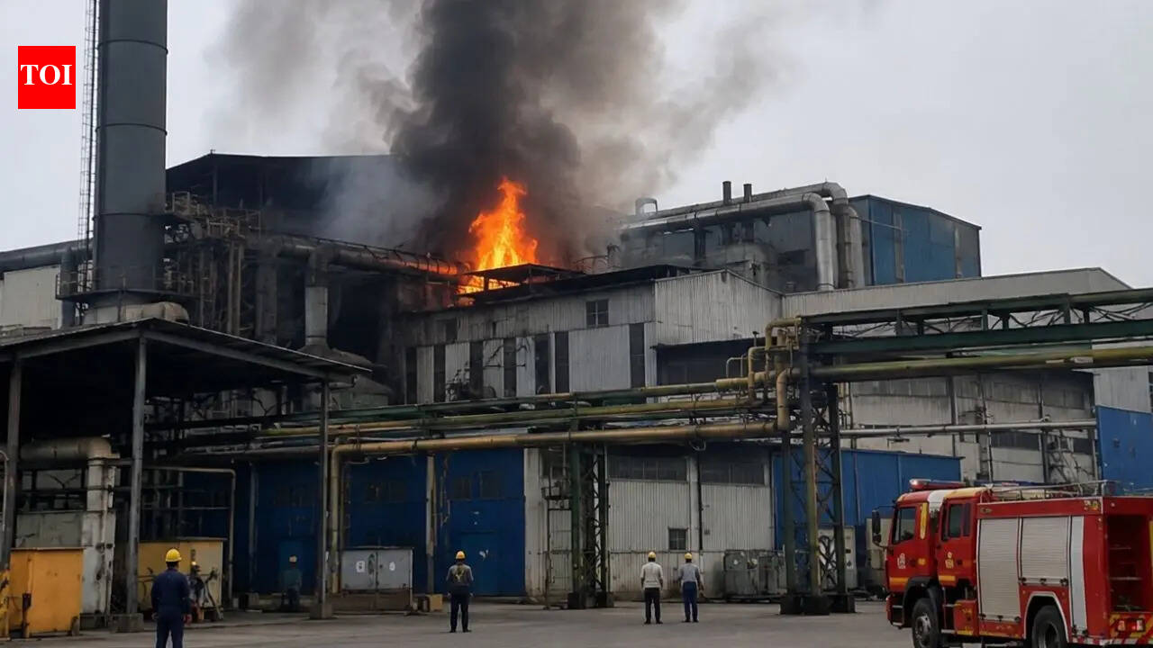 At least 7 burnt alive, several injured after blast at illegal fireworks godown in Jaipur