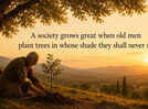 Greek proverb of the day: &ldquo;A society grows great when old men plant trees in whose shade&hellip;&rdquo;