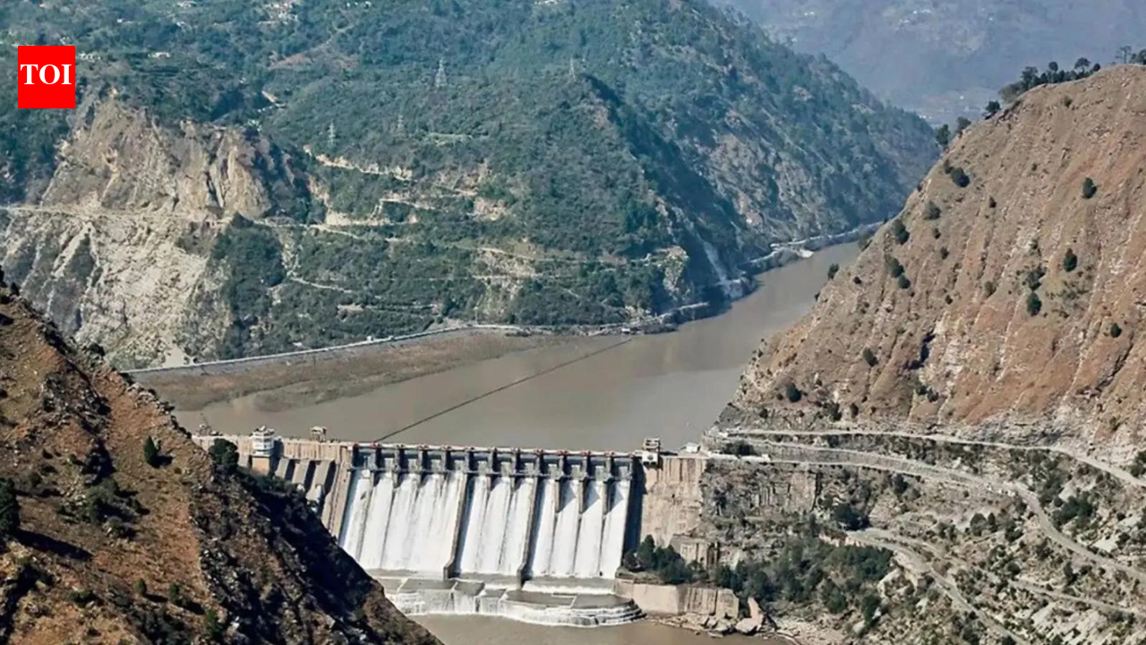 Indus Waters Treaty: Centre says Pakistan won't get 'a single drop' in coming years