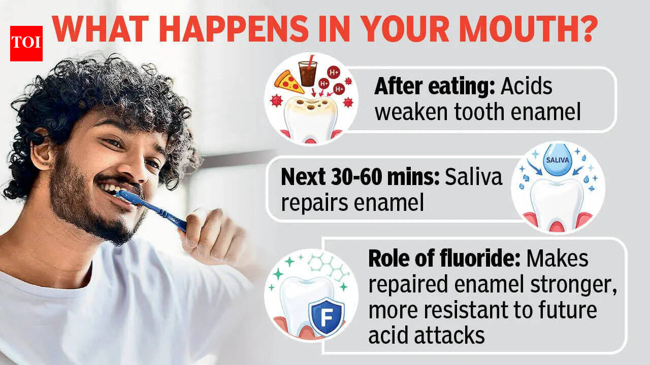 To rinse or not to? Don’t brush this question off - The Times of India